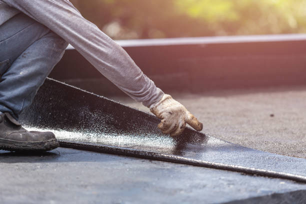 Professional Interior Drainage System technician working in Nichols, WI
